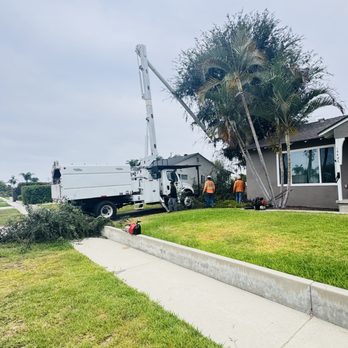 Goodman Tree Service - Tree Services Near Me - Whittier, California