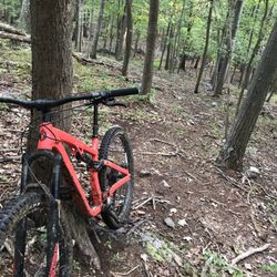 Blackwater Bikes