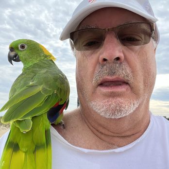 Honest Abe's Pest Control - Pest Control Near Me Honest Abe's Pest Control - Pest Control Near Me
