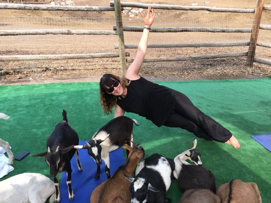 Vail Stables by null