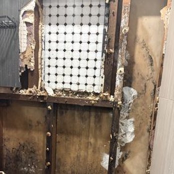 WaveGuard Water Damage Restoration - Professional Mold Remediation: Structural Drying and Framing Repair - Damage Restoration Near Me - San Jose, California WaveGuard Water Damage Restoration - Professional Mold Remediation: Structural Drying and Framing Repair - Damage Restoration Near Me - San Jose, California
