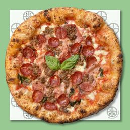 Carnivora