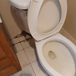 Paradise Valley Health Care Center - Toilet and flooring