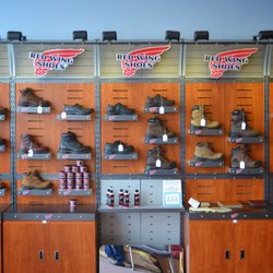 Shoe Fly