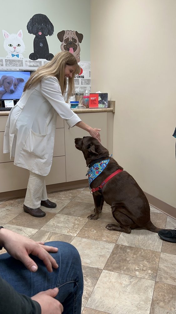 CARE ANIMAL CENTER Updated August 2024 33 Photos & 12 Reviews 1502 W Kimberly Rd