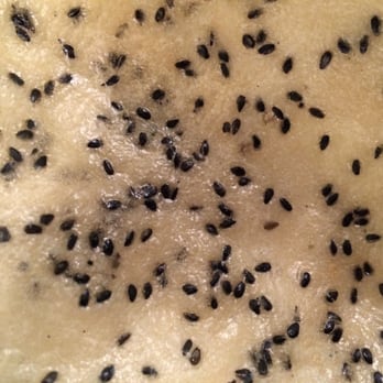 LC Pho - Sesame cracker.... - Vietnamese Near Me - Chicago, Illinois