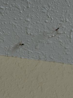 Kelleys Island Venture Resort by null