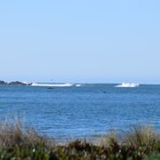 Doran Regional Park 538 Photos 111 Reviews Parks 1 Doran Beach Rd Bodega Bay Ca Phone Number Yelp