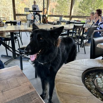 Bear Claw Vineyards - Covered outdoor seating with the artist, Russ, for the day in the background. Meet our friend, Zealand, a Shiloh Shepherd. - Wineries Near Me - Blue Ridge, Georgia Bear Claw Vineyards - Covered outdoor seating with the artist, Russ, for the day in the background. Meet our friend, Zealand, a Shiloh Shepherd. - Wineries Near Me - Blue Ridge, Georgia