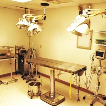 VCA Pets First Animal Hospital - VCA Pets First Animal Hospital Surgical Suite - Veterinarians Near Me - Richmond, Virginia VCA Pets First Animal Hospital - VCA Pets First Animal Hospital Surgical Suite - Veterinarians Near Me - Richmond, Virginia