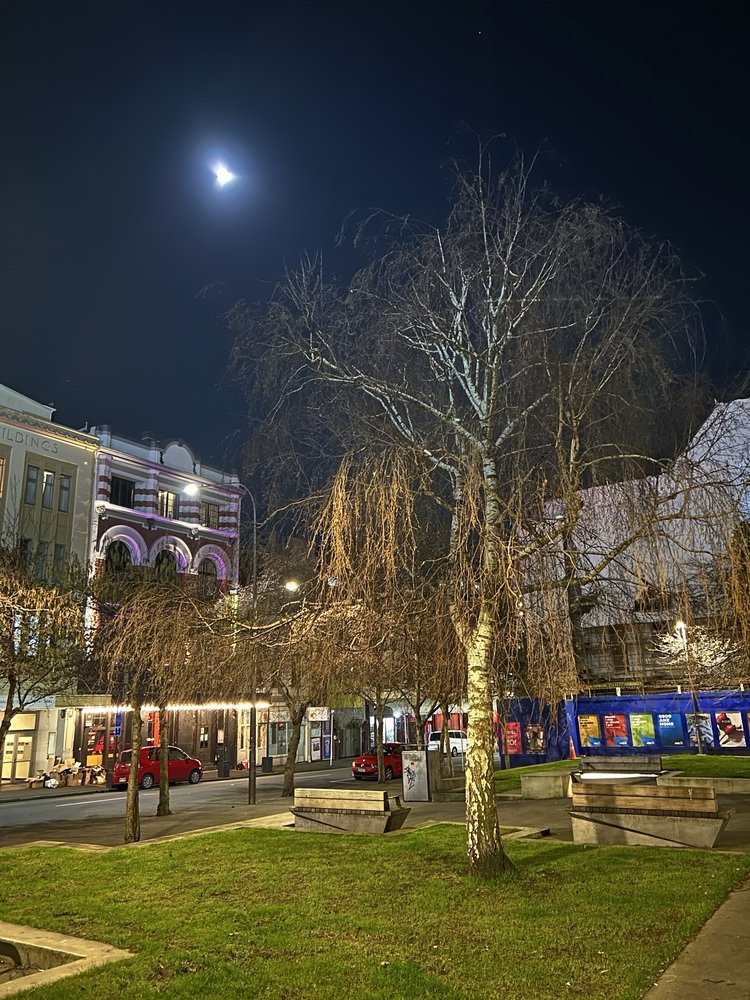 The Rogue and Vagabond