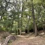 Photo of Green Acres Outdoor Services