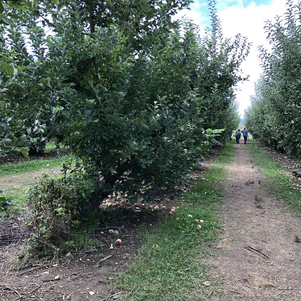Barton Orchards - Farmers Market Near Me - Poughquag, New York