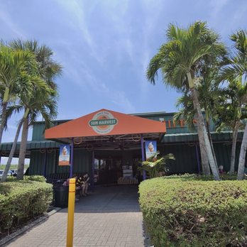Sun Harvest Citrus - Fruits & Veggies Near Me - Fort Myers, Florida Sun Harvest Citrus - Fruits & Veggies Near Me - Fort Myers, Florida