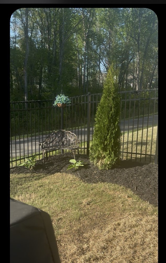 Vert life landscaping - tree service in Durham, NC