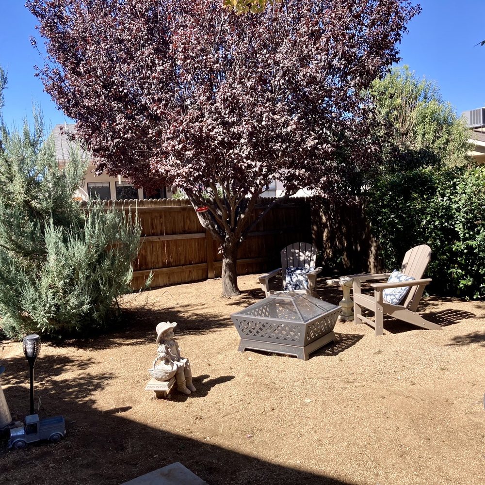 My backyard