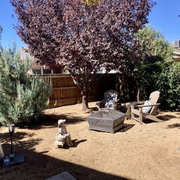 My backyard
