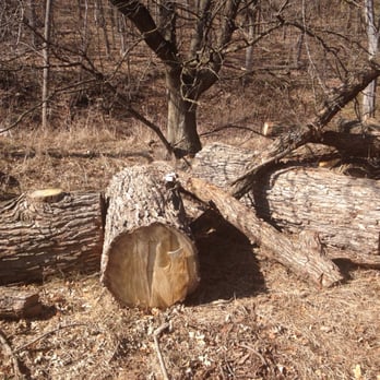 Wild Mountain - Clearing - Ski Resorts Near Me - Taylors Falls, Minnesota