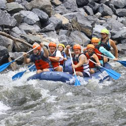 Nature's rollercoaster: whitewater rafting with the best views around.