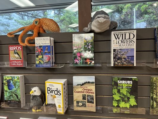 Cape Perpetua Visitor Center - Siuslaw National Forest by null