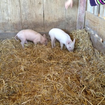 Weston Red Barn Farm - Venues & Event Spaces Near Me - Weston, Missouri Weston Red Barn Farm - Venues & Event Spaces Near Me - Weston, Missouri