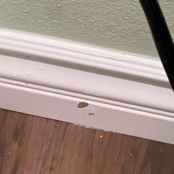 AM Pro Painting - Baseboard missing paint and dried dripping paint - Painters Near Me