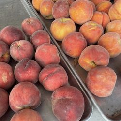 Central District Farmers Market
