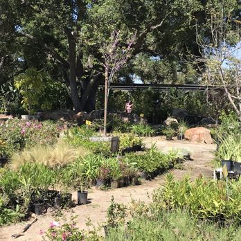 Roseland Nursery - Nurseries & Gardening Near Me - Rainbow, California