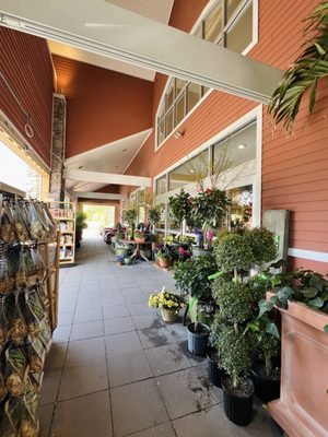 Briggs Nursery by null