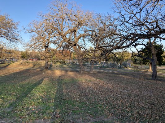 Patterson Neighborhood Park by null