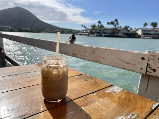 Island Brew Coffeehouse by null
