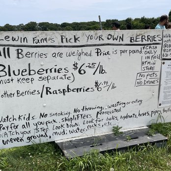 Lewin Farms - Pick Your Own Farms Near Me - Calverton, New York Lewin Farms - Pick Your Own Farms Near Me - Calverton, New York
