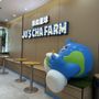 Photo of Jo’s Cha