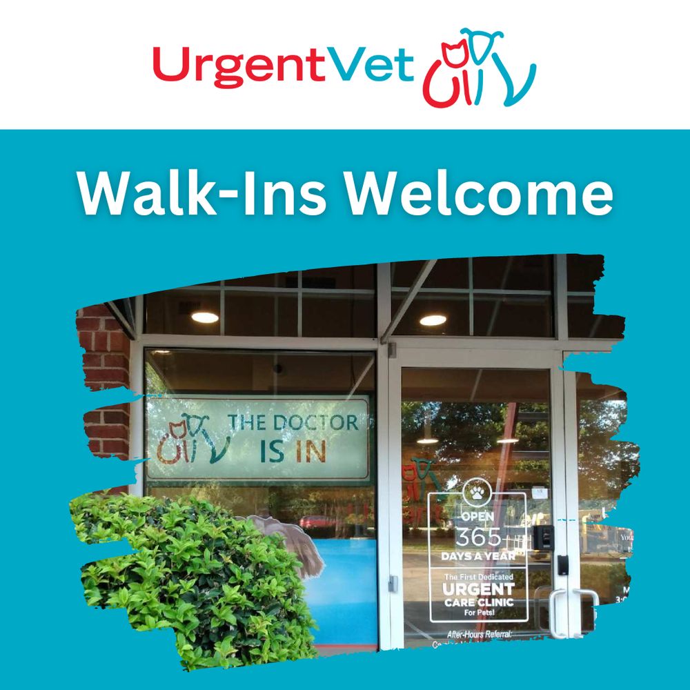 URGENTVET Updated August 2024 25 Photos 12239 Pine Bluffs Way