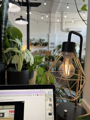 Greenhouse Coffee + Plants by null