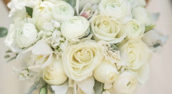 Chateau St. Jean Winery by null