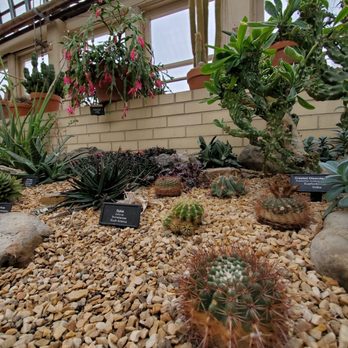 Garfield Park Conservatory - Parks Near Me - Chicago, Illinois