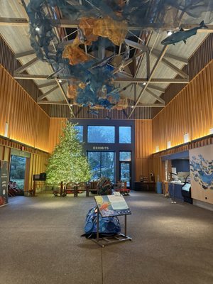 Oregon Coast Aquarium by null