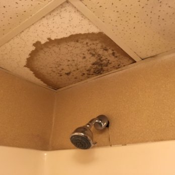 Quality Inn - We didn't even get checked in. Tried 3 rooms Once we finally got in, all three rooms stunk and they weren't inhabitable. We left. - Hotels Near Me - Corinth, Mississippi