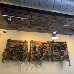 Wall decor Wall decor