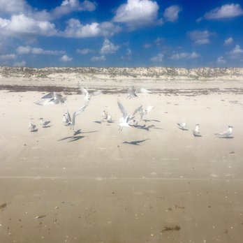 Anastasia State Park - Anastasia Beach - Parks Near Me - Saint Augustine, Florida