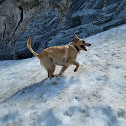 Echo Trail