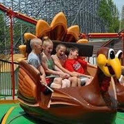 Turkey Whirl