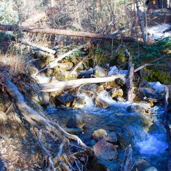 Carson National Forest - Stream in Carson