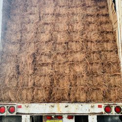 Professional Strawing Services