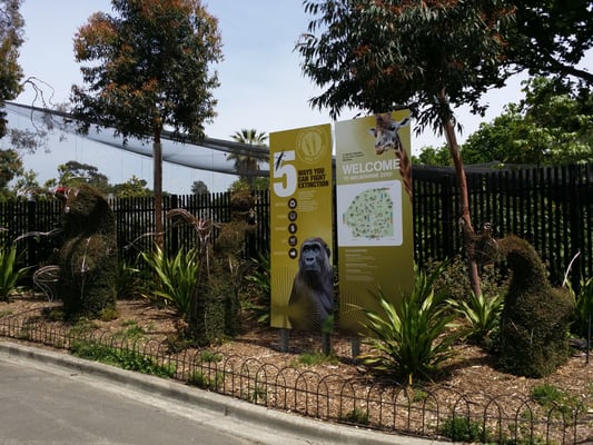 Melbourne Zoo by null