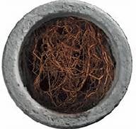 Slide of Timber Wolff's Plumbing