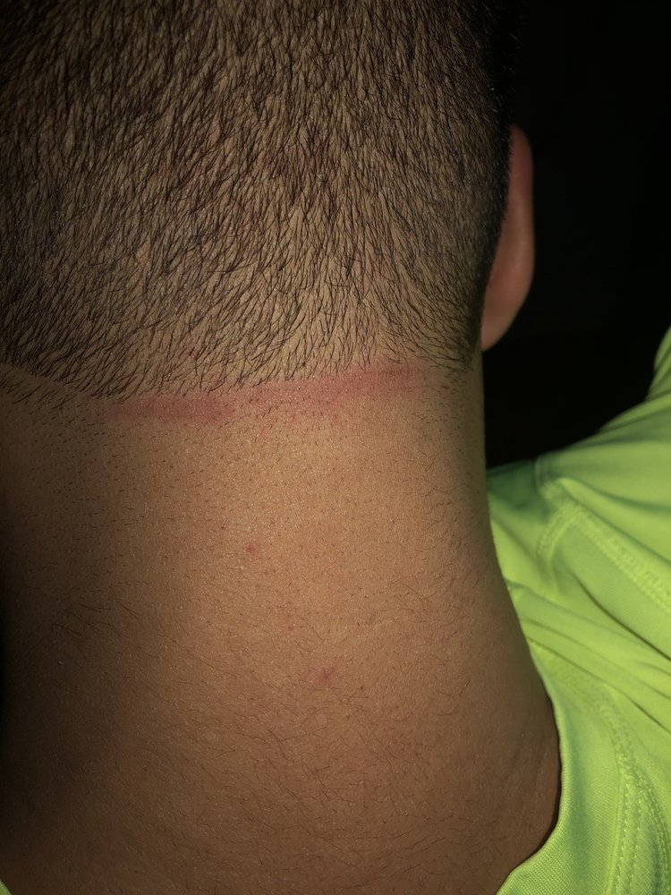 MODERN Updated September 2024 2304 Barnum Ave, Stratford