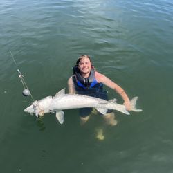 6 footer