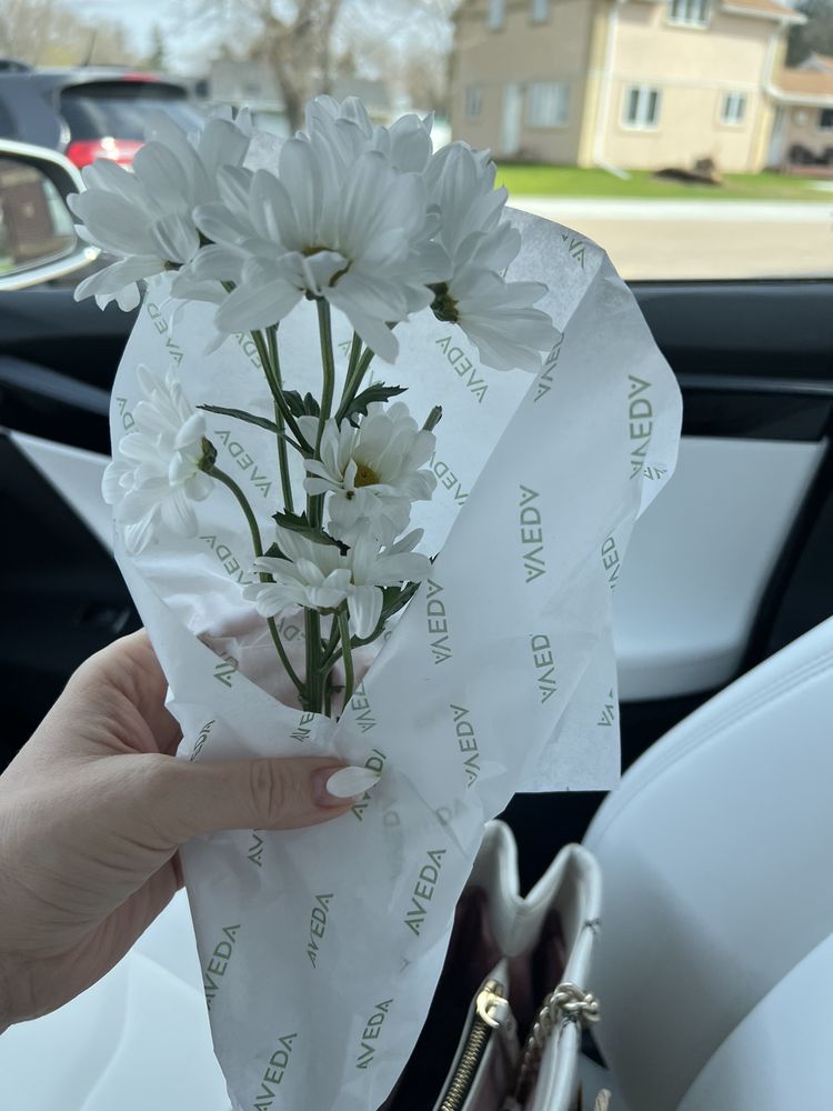 SITARA SALON & SPA Updated September 2024 13 Photos & 12 Reviews W6822 Hilltop Dr